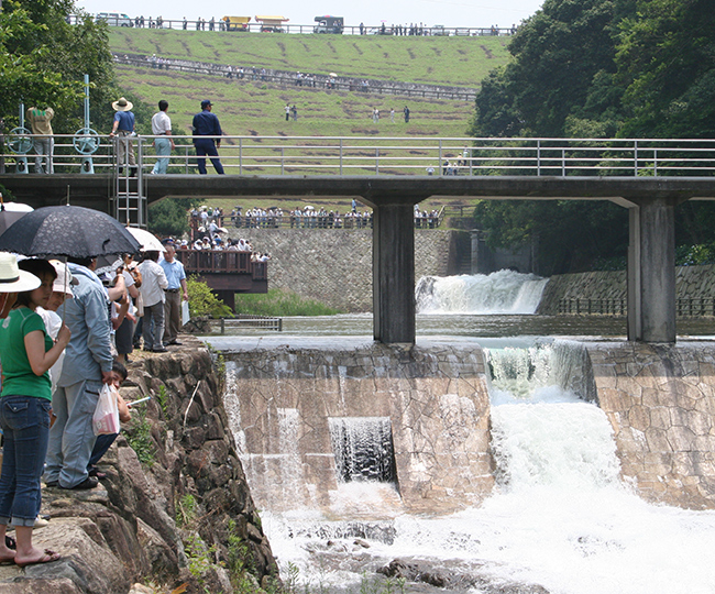 満濃池のゆる抜き