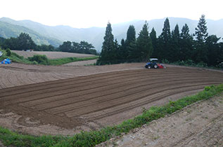 そば作付地整備