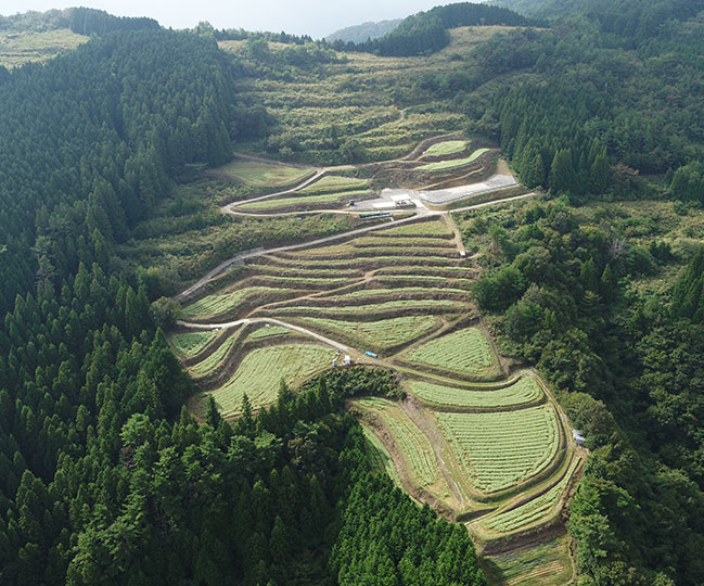 まんのう「そば生産振興会」